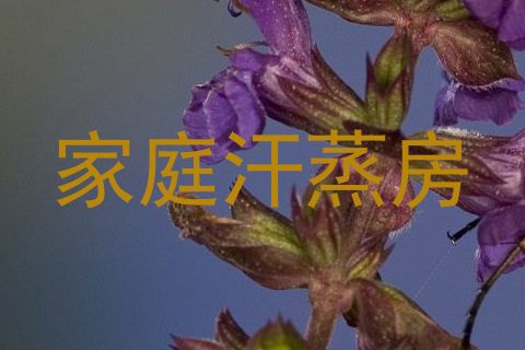 家庭汗蒸房