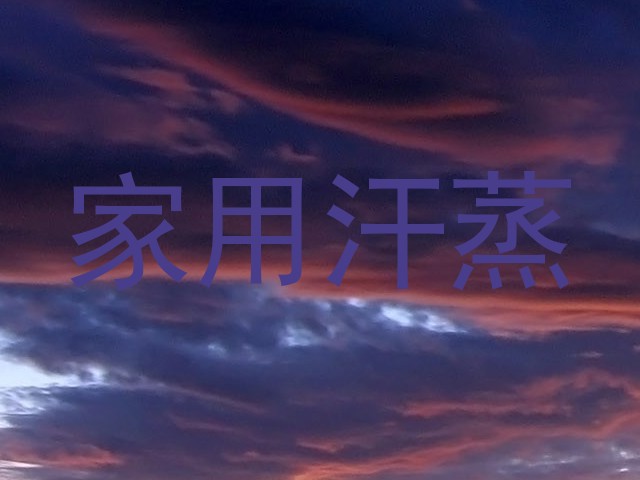 家用汗蒸