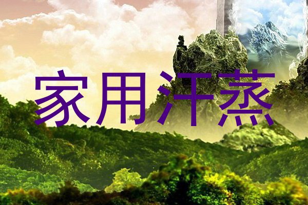 家用汗蒸