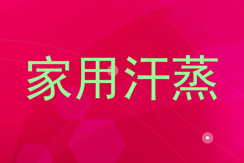 家用汗蒸