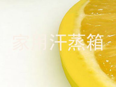 家用汗蒸箱