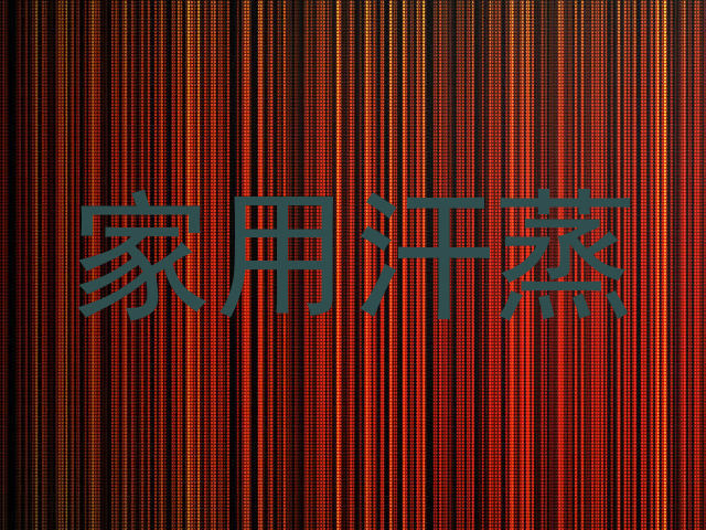 家用汗蒸