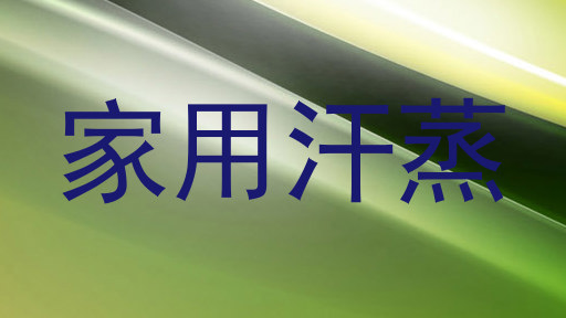 家用汗蒸