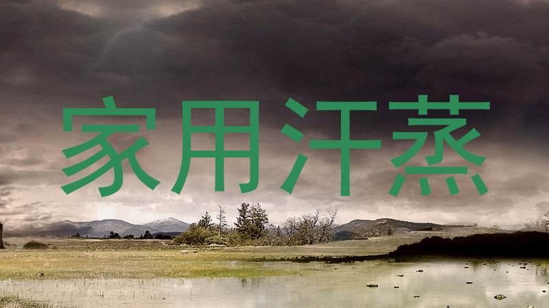 家用汗蒸
