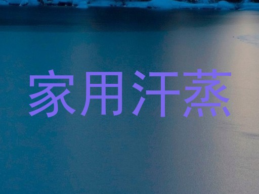 家用汗蒸