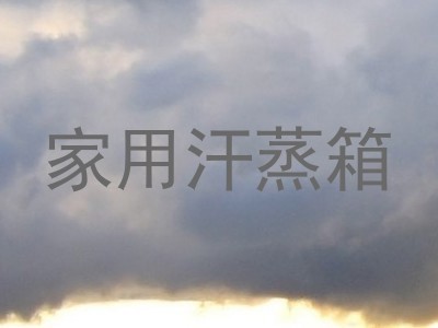 家用汗蒸箱