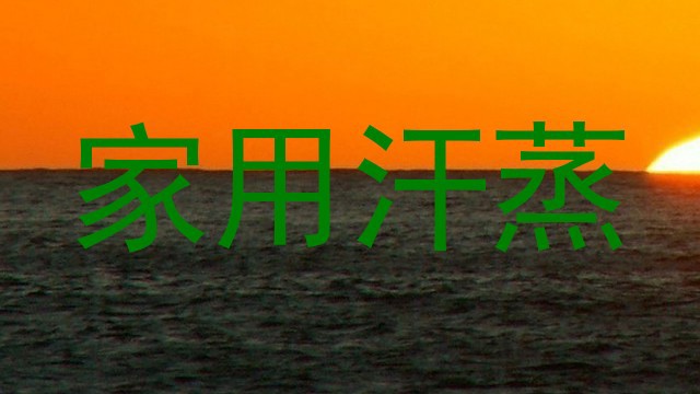 家用汗蒸
