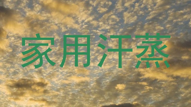 家用汗蒸