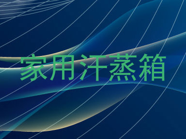 家用汗蒸箱