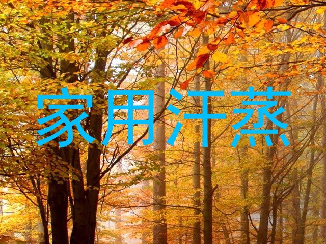 家用汗蒸