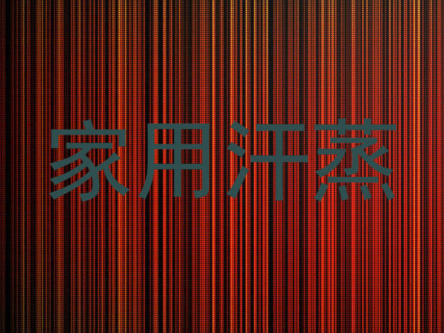 家用汗蒸