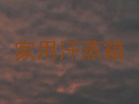 家用汗蒸箱