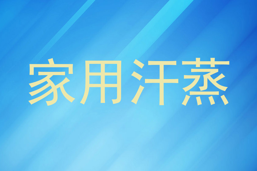 家用汗蒸