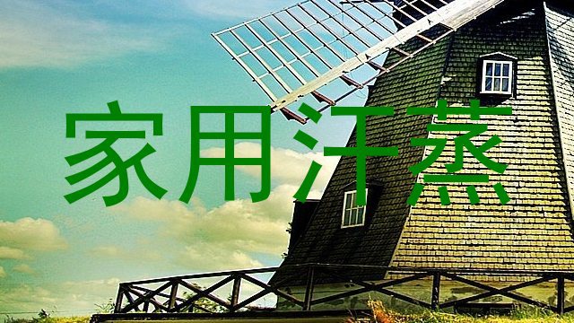 家用汗蒸