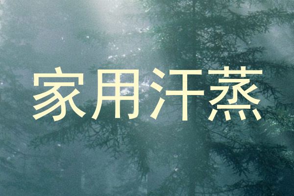 家用汗蒸