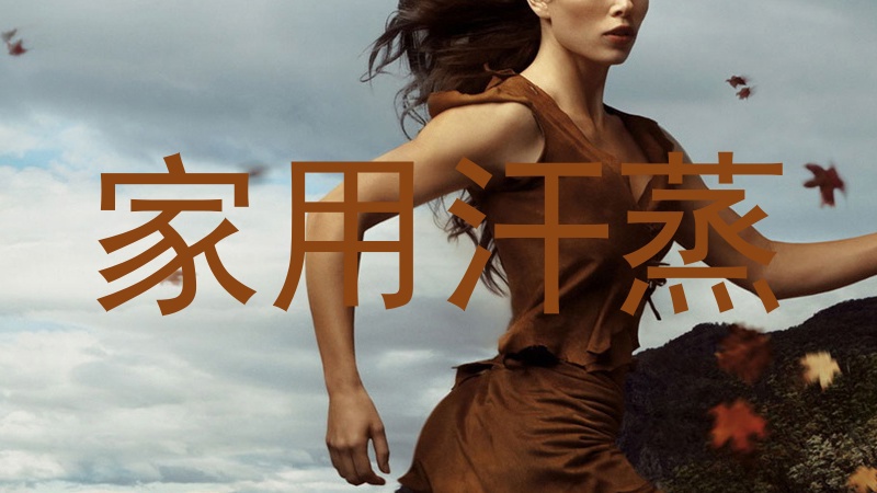 家用汗蒸