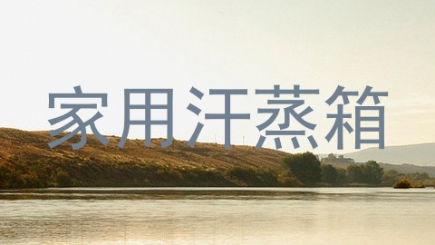 家用汗蒸箱