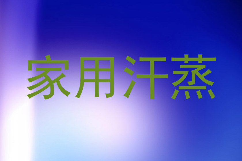 家用汗蒸