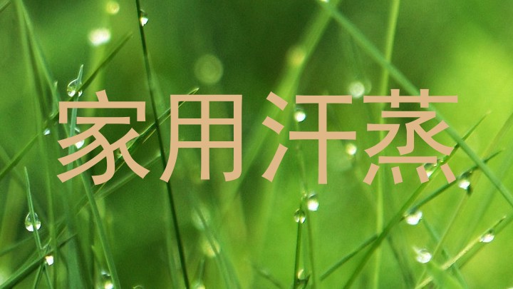家用汗蒸