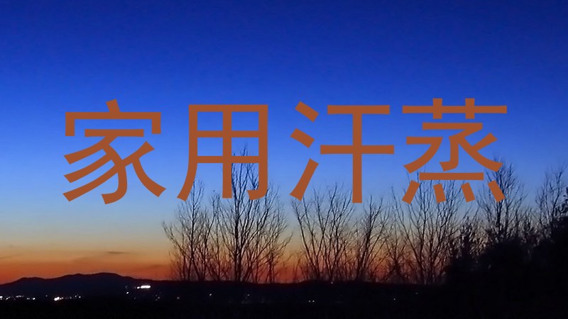 家用汗蒸