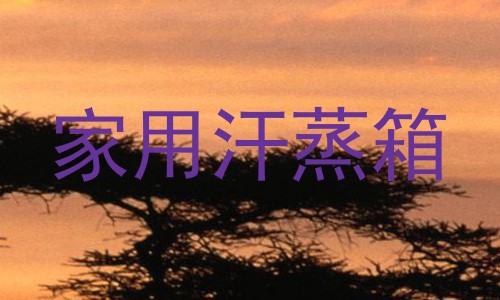 家用汗蒸箱