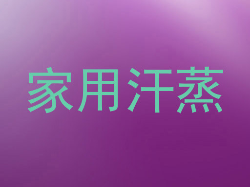 家用汗蒸