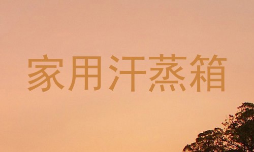 家用汗蒸箱