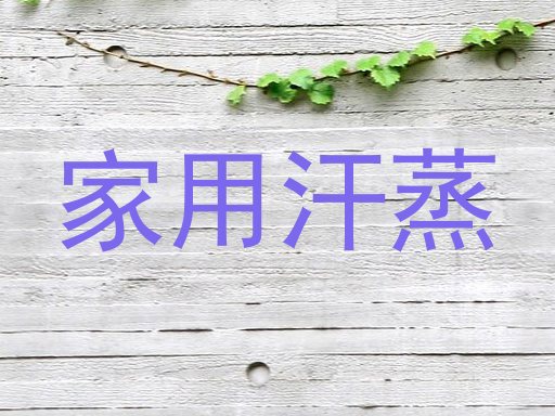 家用汗蒸