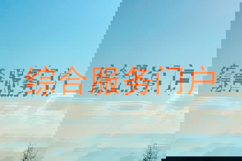 综合服务门户