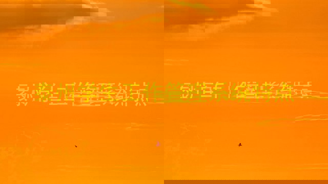 泰州学生工作管理系统特点