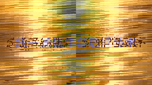 统一通信平台后端技术