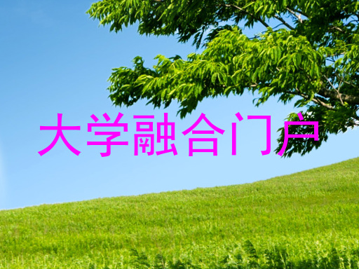 大学融合门户