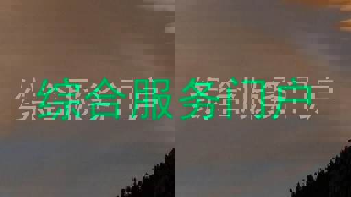综合服务门户