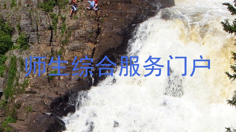 师生综合服务门户