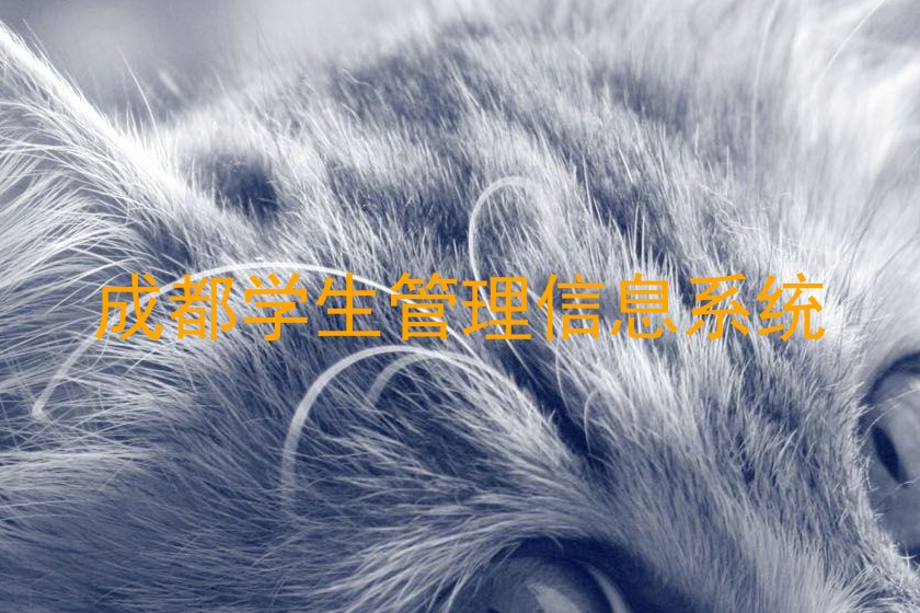 成都学生管理信息系统