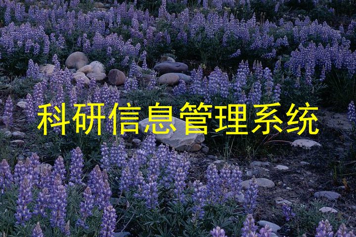 科研信息管理系统