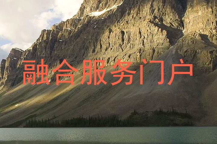融合服务门户