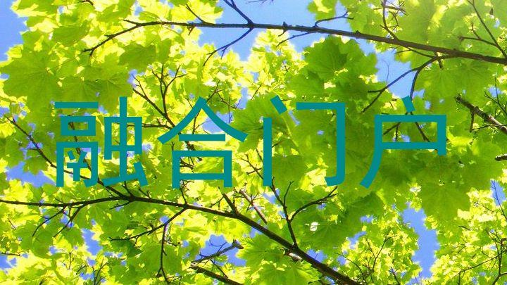 融合门户