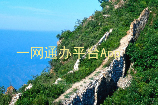 一网通办平台App
