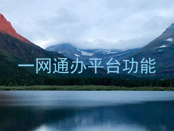 一网通办平台功能