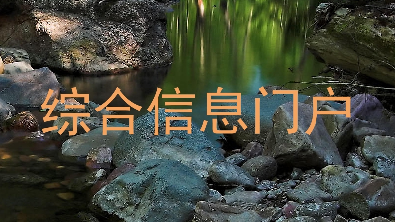 综合信息门户