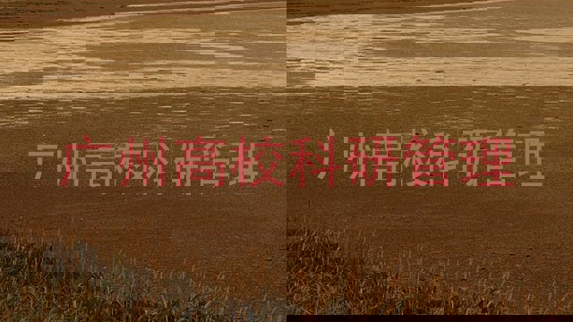 广州高校科研管理