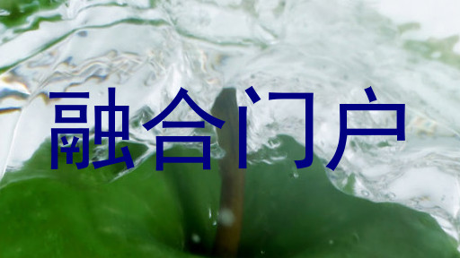 融合门户