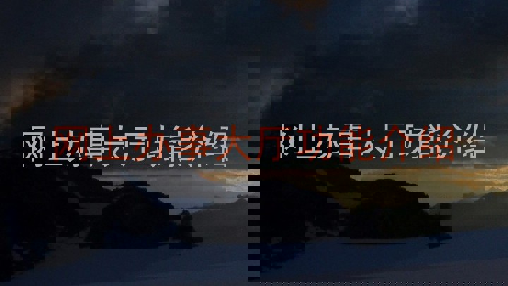网上办事大厅功能介绍