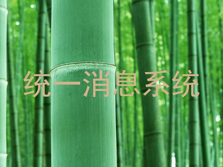 统一消息系统