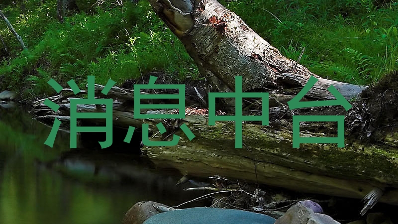 消息中台