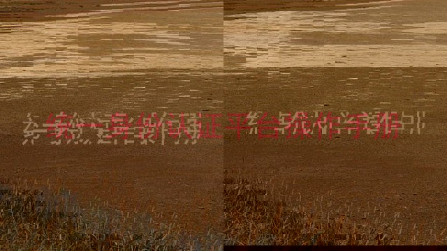 统一身份认证平台操作手册