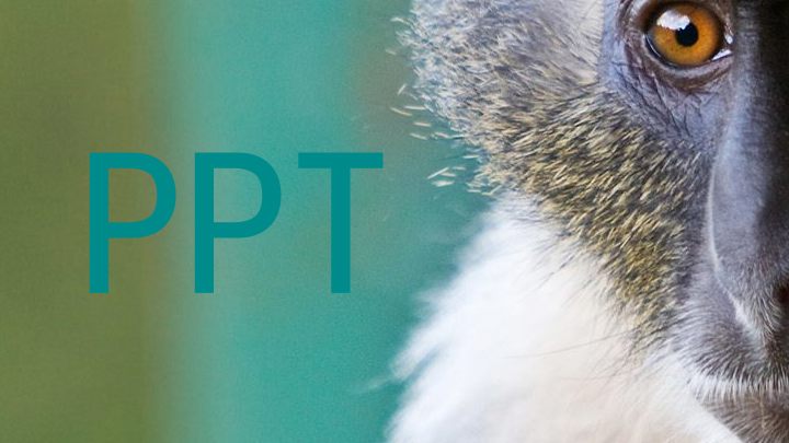 PPT