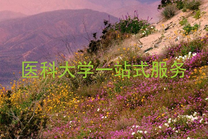 医科大学一站式服务
