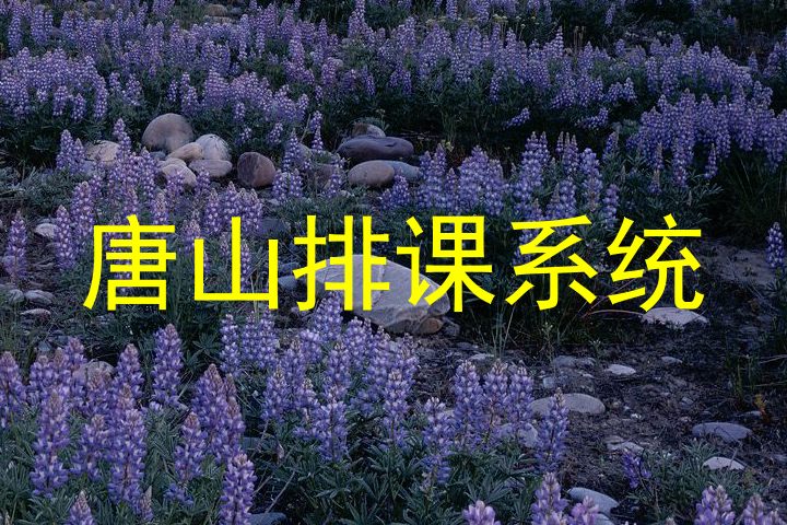 唐山排课系统
